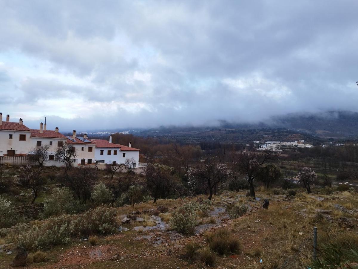Los Olivos De Fondon Luaran gambar