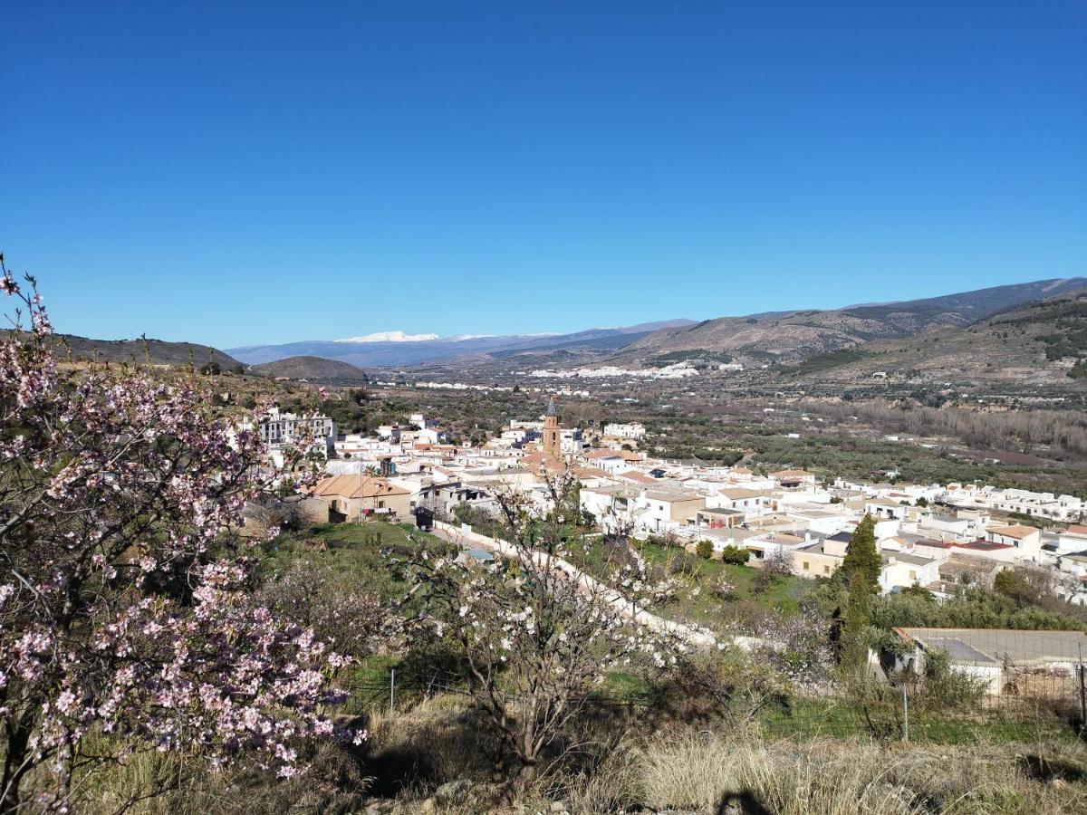 Los Olivos De Fondon Luaran gambar